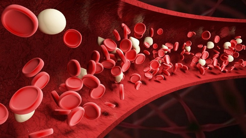 Kan Analizinde MCV Nedir, Düşüklüğü Ne Manaya Gelir?
