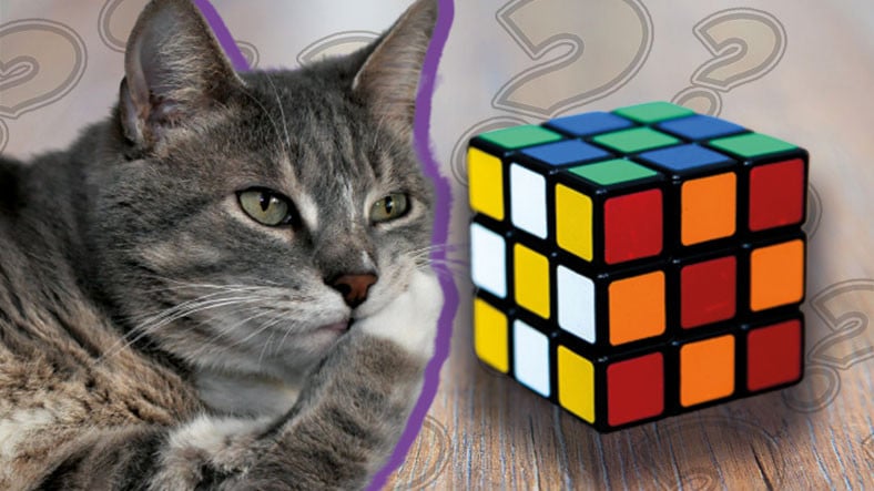 Rubik Küp Nasıl Yapılır, Kaç Atakta, Nasıl Çözülür?