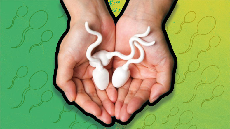Tüm Kent Efsanelerini Unutun: Erkek Üreme Hücresi 'Sperm' Hakkında 9 Bilimsel Gerçek